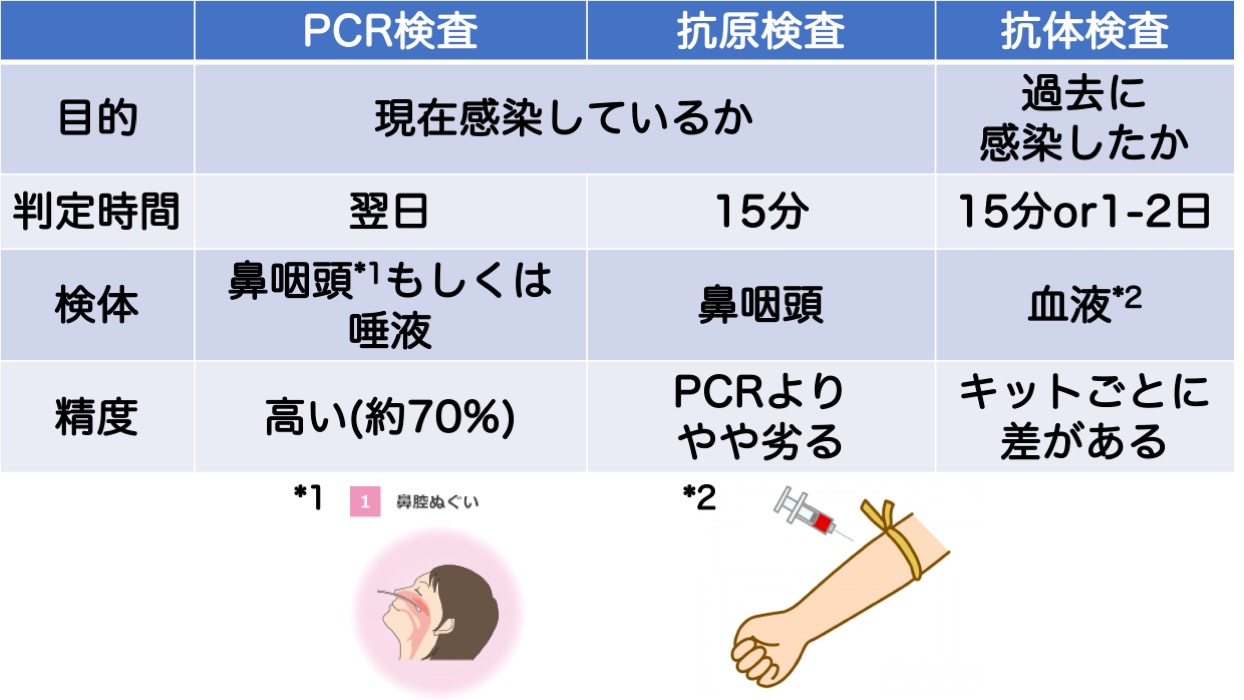 精度 pcr 検査